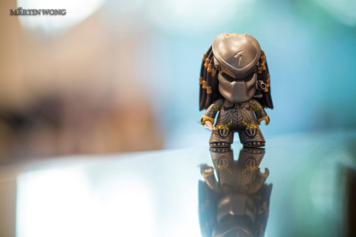 Photo from the post Nikon AF-S NIKKOR 105mm f/1.4E ED