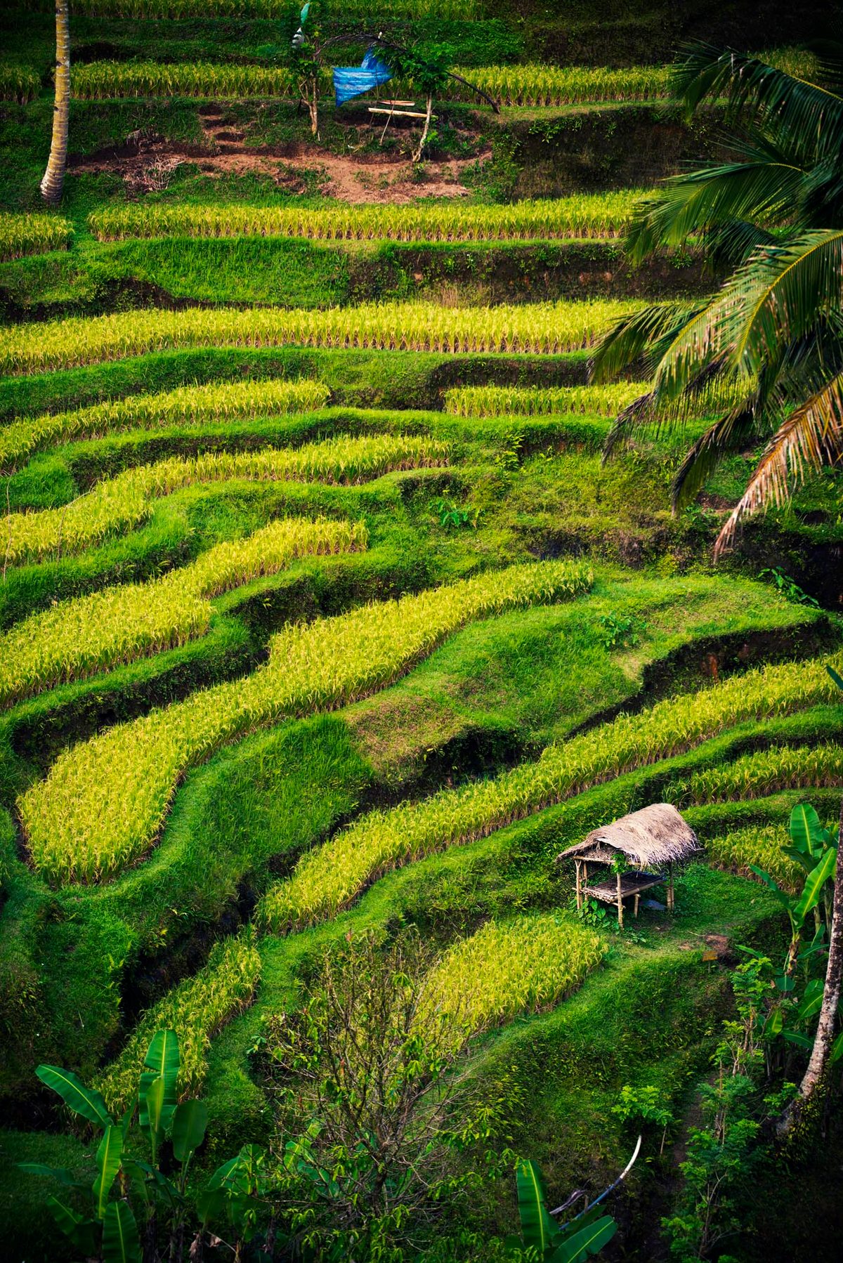 Travel photo by Martin Wong, 29 of 32