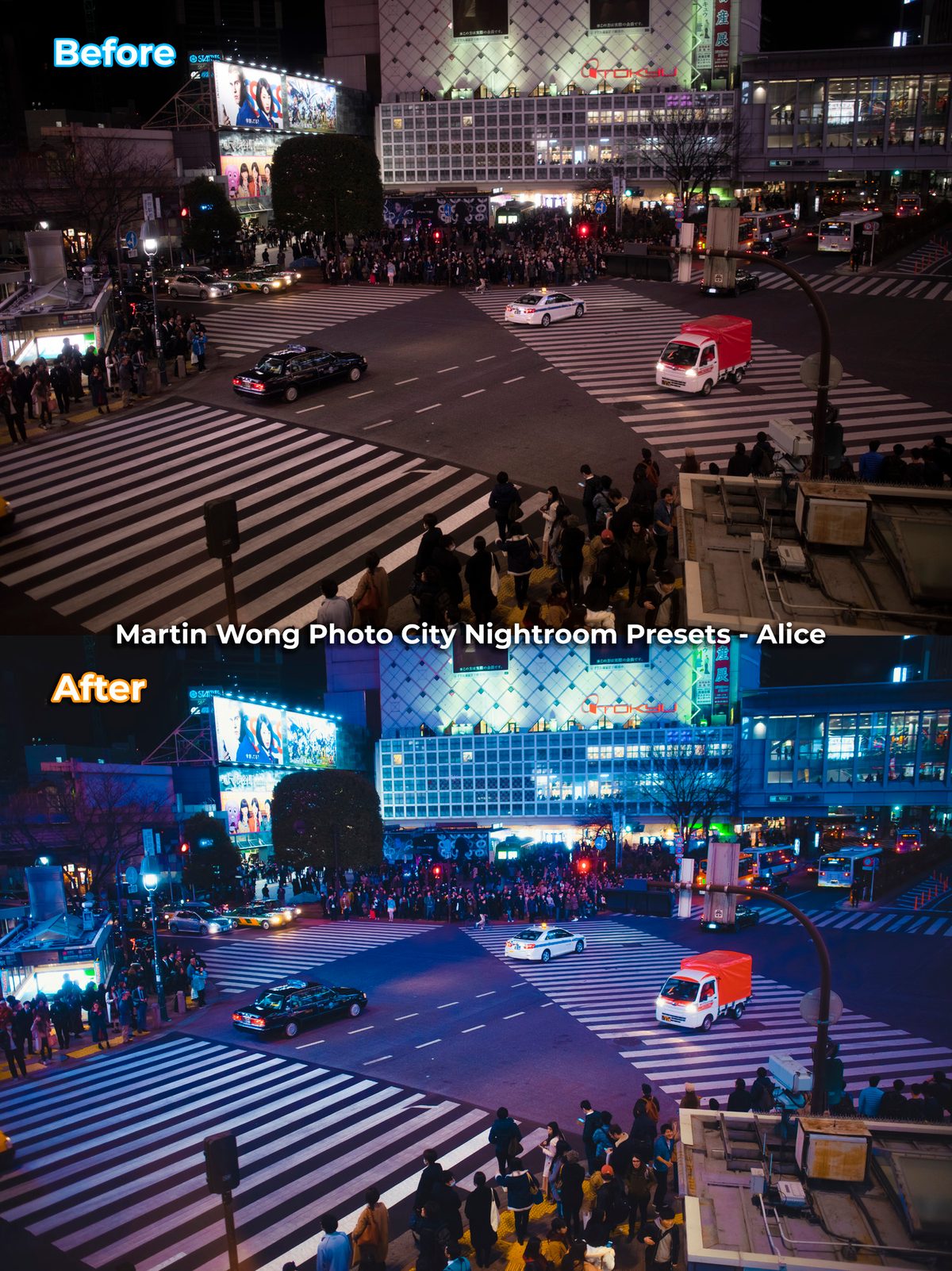 Martin Wong Photo Presets - City Nightscape (Free) product image