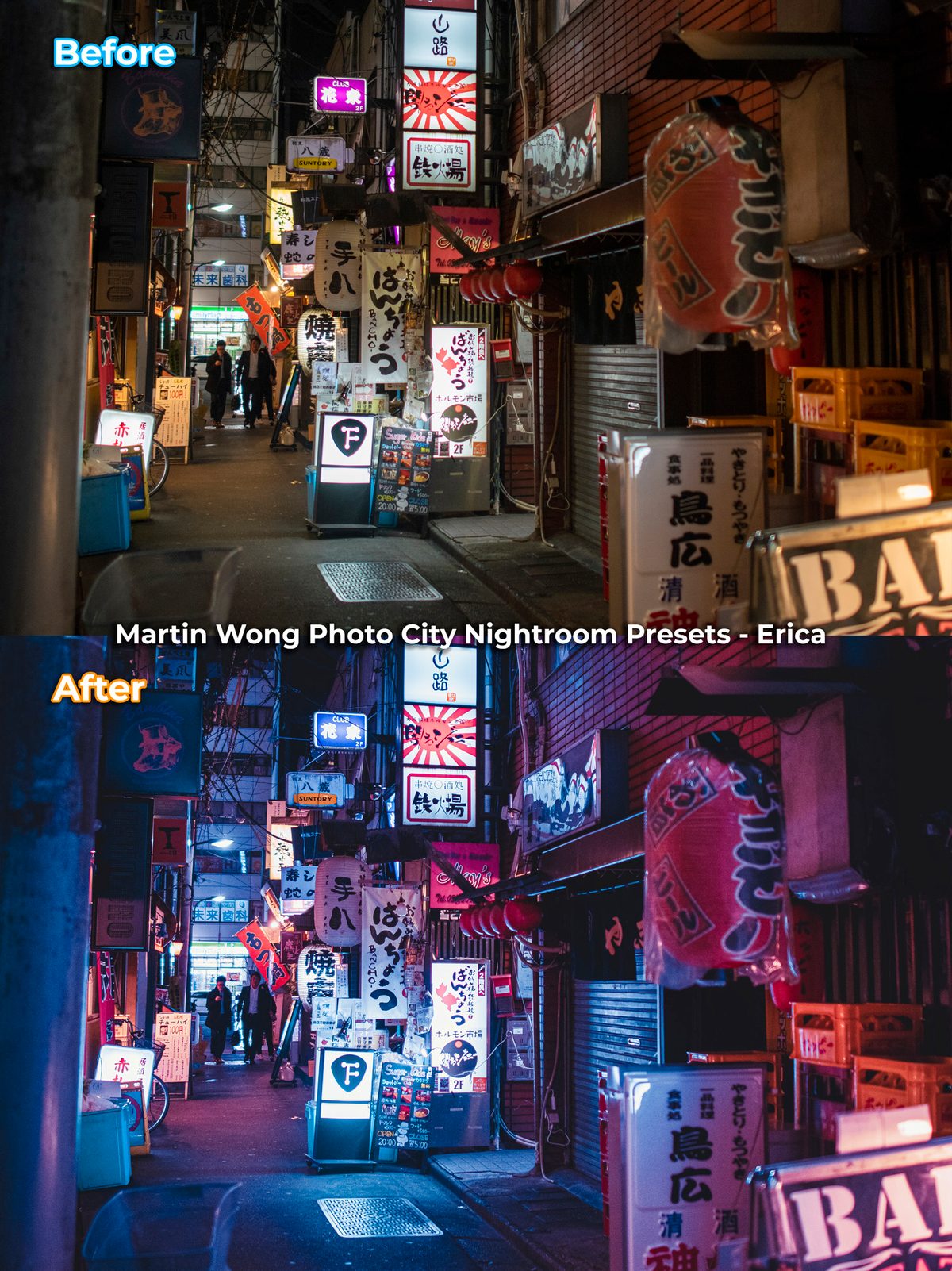 Martin Wong Photo Presets - City Nightscape (Free) product image