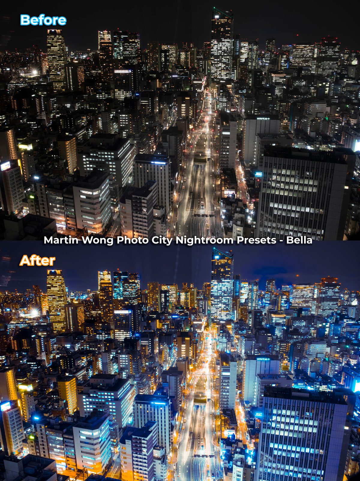 Martin Wong Photo Presets - City Nightscape (Free) product image